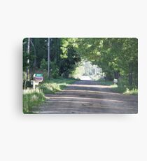Country Road Metal Print