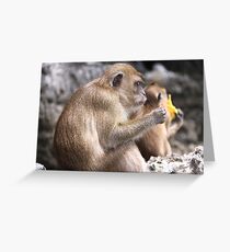 Monkey Island resident Greeting Card