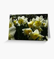 Serenity Greeting Card