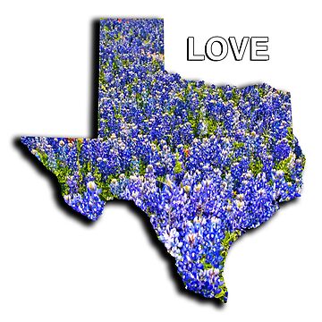 Artwork thumbnail, Lone Star LOVE - State of Texas Shape with Bluebonnets and the word LOVE by WarrenPHarris