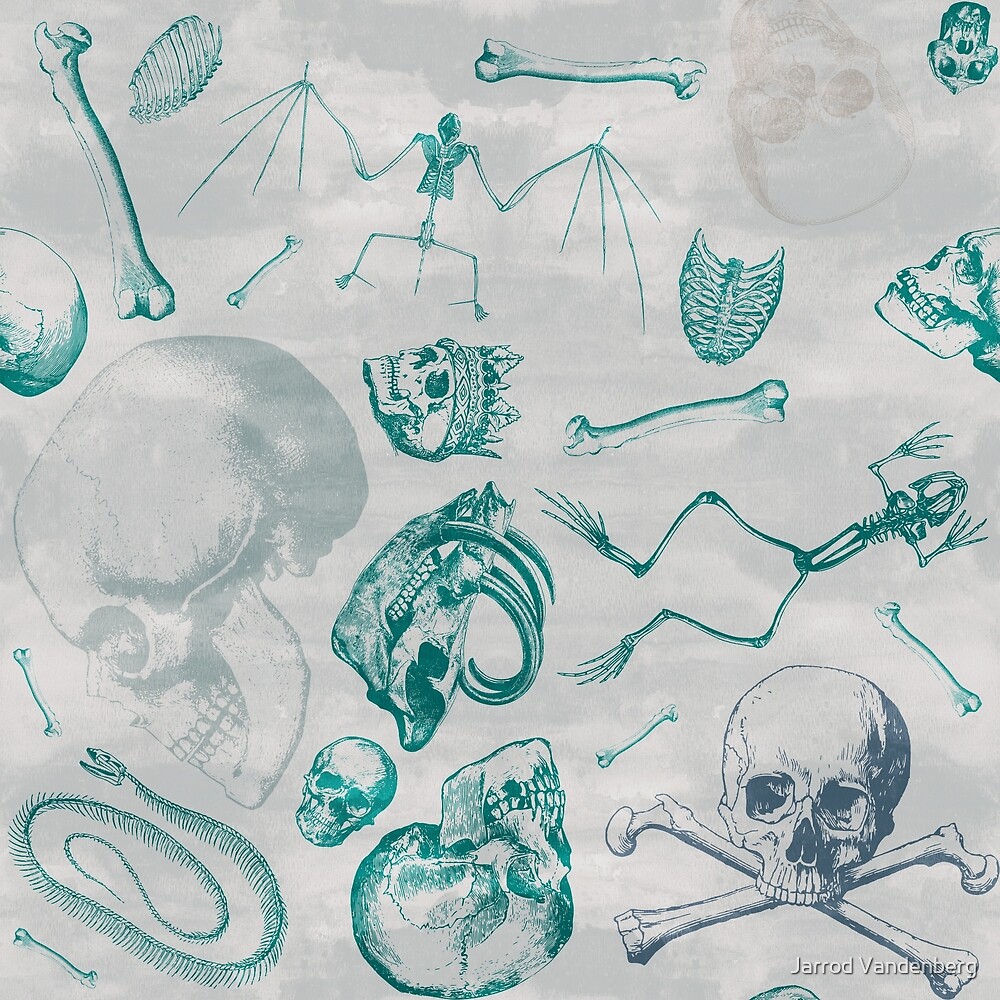 "Teal Skull Pattern" by Jarrod Vandenberg Redbubble