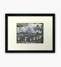 Alien Garden 1 - Horticulture on Another Planet Framed Print