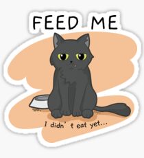 Pinpin Cat - Feed me funny design Sticker