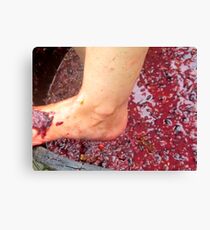Wine stomping Canvas Print