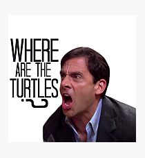 Michael Scott - Where Are the Turtles? Photographic Print