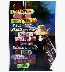 Accidental Tourist Poster