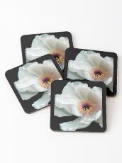 Snow White Peony Coasters