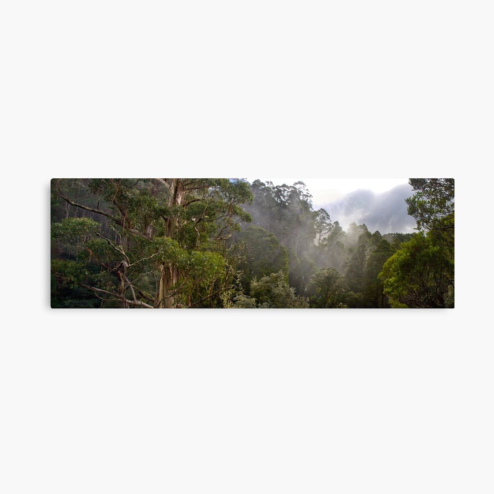 Tree Tops Canvas Print