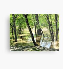 River Flooding Metal Print
