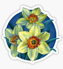 Daffodils T Sticker