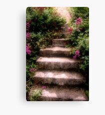 Steps Canvas Print