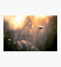 Une parmi d'autres Photographic Print