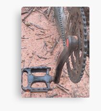 Pedals Metal Print