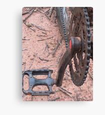 Pedals Canvas Print