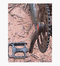 Pedals Photographic Print