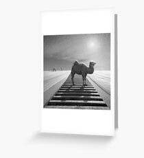 Camel trophy Greeting Card