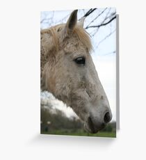 En Retraite! Greeting Card