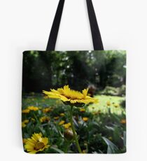 Latest Find Tote Bag