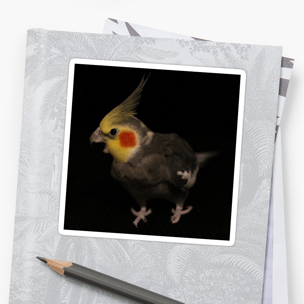 Big Yawn Little Birb Sticker By Summercy Redbubble - bloxbuilder165 s old roblox character s face t shirt by