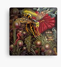 FLORA vs. FAUNA Metal Print