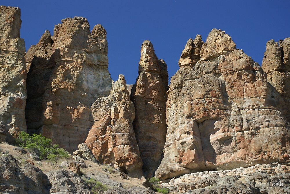 "John Day Fossil Beds National Monument" by Loisb Redbubble