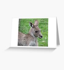 Grampians Kangaroo Greeting Card