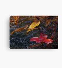 Freezing Canvas Print