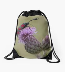 Six-spot Burnet Moth Drawstring Bag