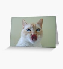 Montecore's Annual Message to All Doggies Greeting Card