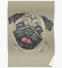 Frank the Pug. Poster