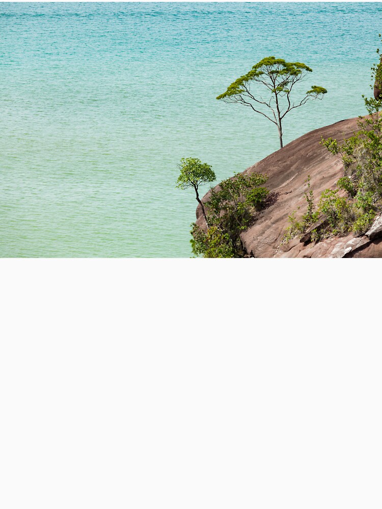 Small tree and big vast ocean scenery by Juhku