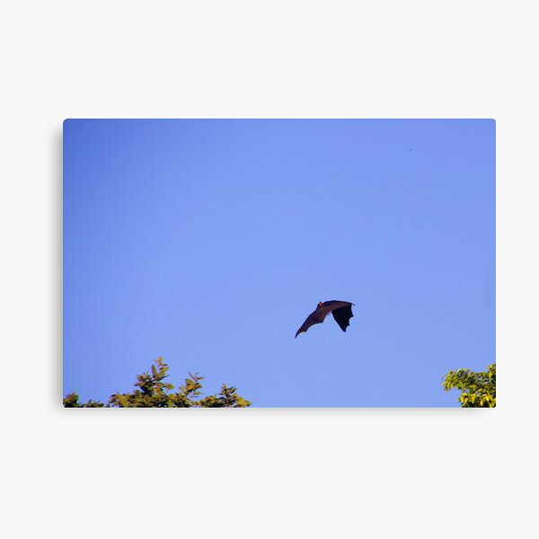 Going home Canvas Print