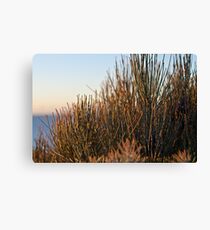 Shrubs Canvas Print