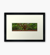 Angel Oak Tree Framed Print