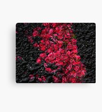 Blossoms ! Canvas Print