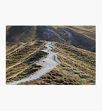 Way in alpine grassland Photographic Print