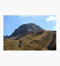 Alpine grassland Photographic Print