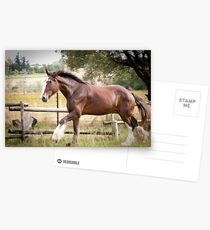 Sherman Postcards