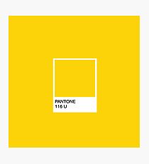 PANTONE Yellow Photographic Print