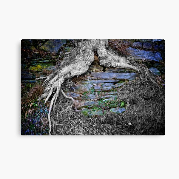Grown-in Canvas Print
