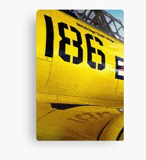 Them's Fighting Numbers Canvas Print