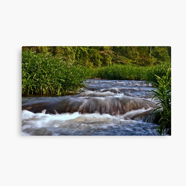 A River Runs Through It Canvas Print