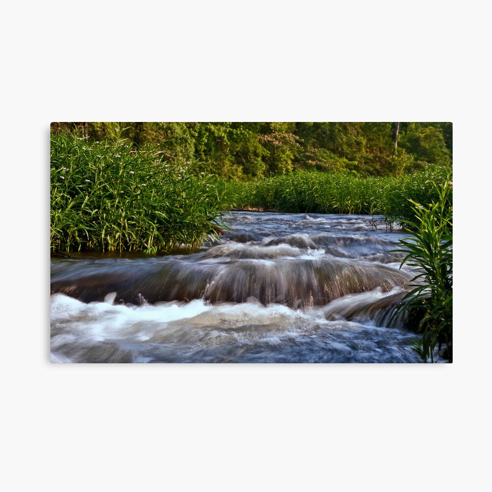 A River Runs Through It Canvas Print