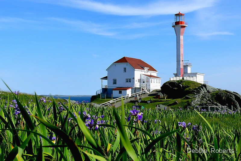 "Cape Forchu in Irises" by Debbie Roberts Redbubble