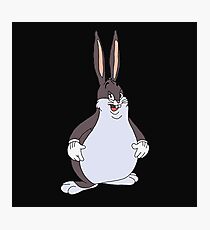 Big Chungus Photographic Print