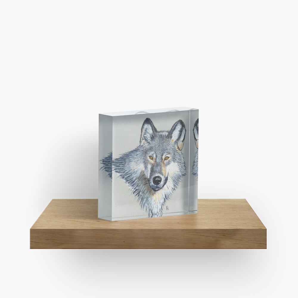Wolf portrait Acrylic Block