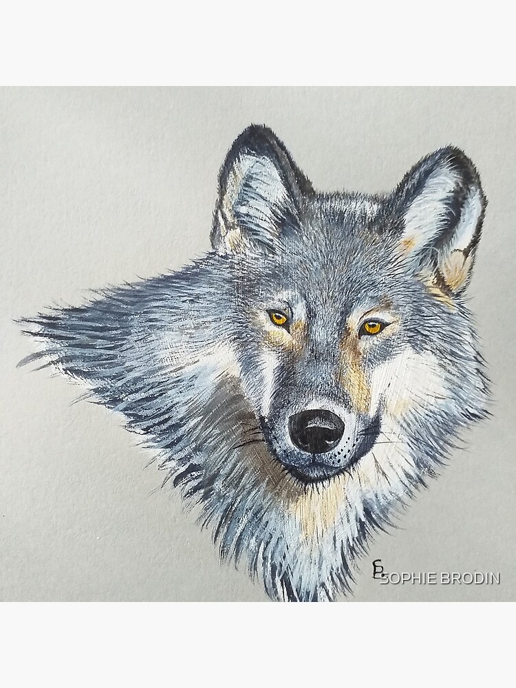 Wolf portrait by SophieBrodin