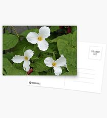 Three Times Three Postcards