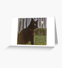 Omar at Dusk Greeting Card