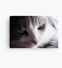 Memory Lane. Canvas Print